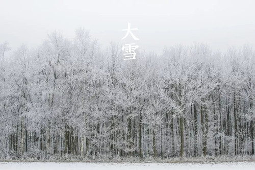 12.webp_副本.jpg 12.webp_副本.jpg