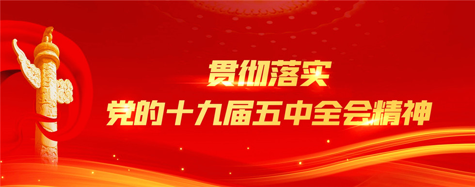 贯彻落实党的十九届五中全会精神